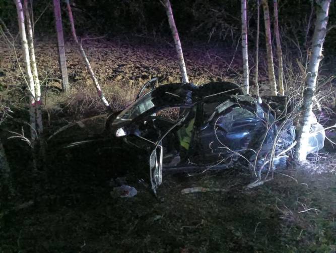 В Красногорском районе 63-летний водитель Kia врезался в дерево и погиб