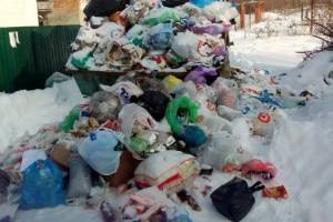 В Навле на контейнерной площадке возле медцентра выросла мусорная свалка
