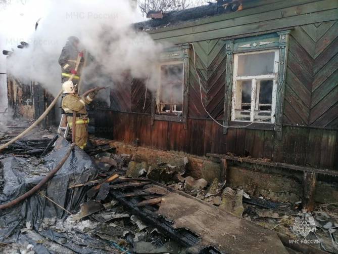 С начала года в Брянской области на пожарах погибли 13 человек