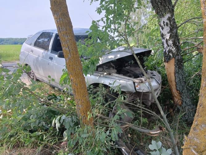 Под Погаром 17-летний водитель «ВАЗ» уснул за рулём и протаранил дерево