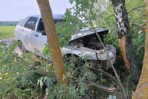 Под Погаром 17-летний водитель «ВАЗ» уснул за рулём и протаранил дерево
