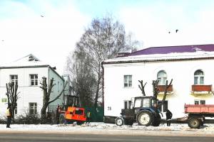 В центре Новозыбкова варварски обкромсали деревья 