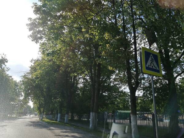 В Брянске нашли дорожные знаки-невидимки