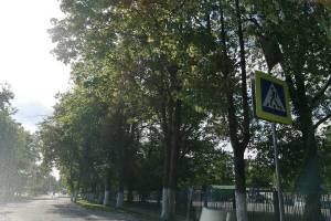 В Брянске нашли дорожные знаки-невидимки