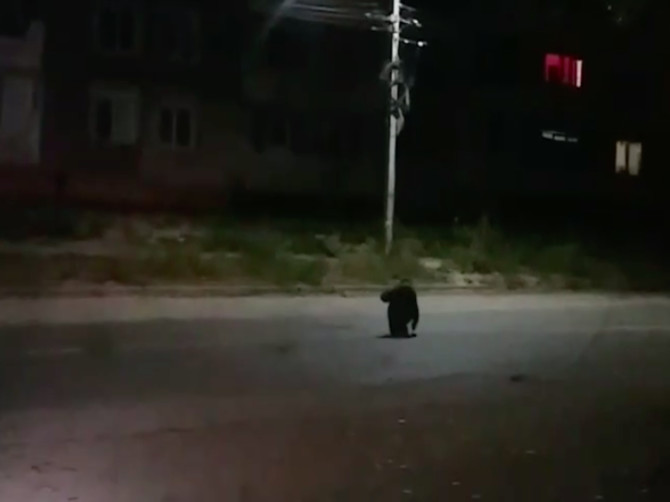 В Брянске сняли видео сидящей на проезжей части старушки