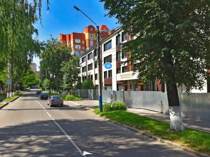В Брянске на улице Горького срубят 9 аварийных деревьев
