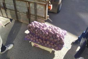 Брянцы возмутили торговцев нежеланием покупать дешёвый картофель