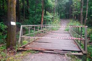 В Брянске прокуратура потребовала отремонтировать аварийный мост «Тропа здоровья»