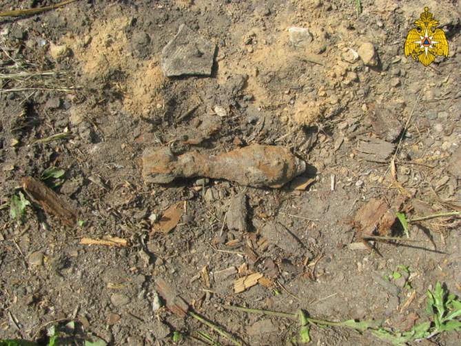 Под Брянском в Малом Полпино нашли минометную мину