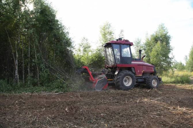 В 2022-м году на Брянщине вернули в сельхозоборот 30 тысяч га заброшенных земель
