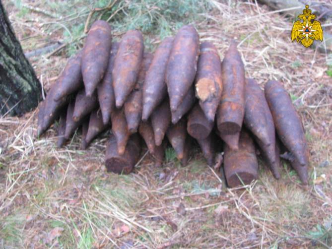 В лесу возле сел Брасовского района нашли арсенал снарядов и гранат