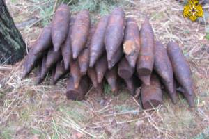 В лесу возле сел Брасовского района нашли арсенал снарядов и гранат