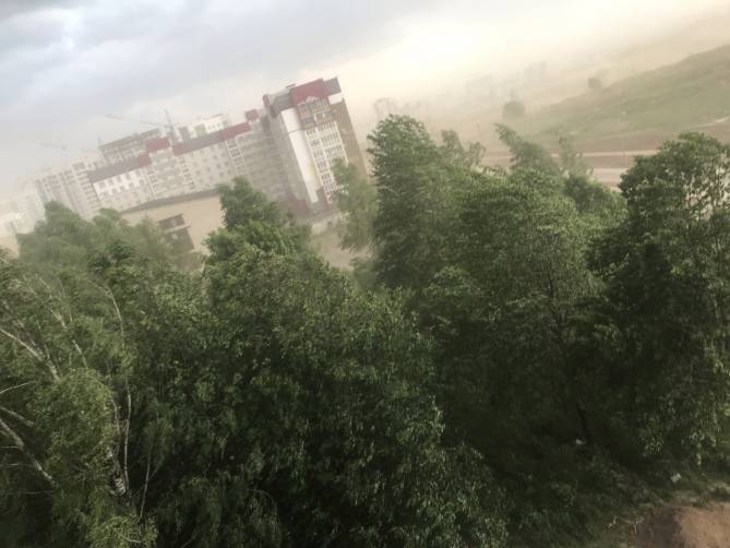 В Брянске 2 июня ураганный ветер поднял пыльную бурю