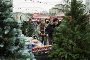 В Брянске 19 декабря откроются елочные базары