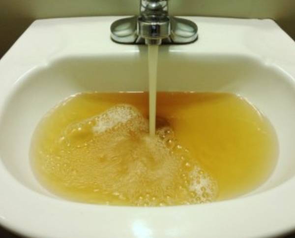 Брянские чиновники проигнорировали жалобы на ржавую воду в Белых Берегах