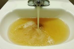 Брянские чиновники проигнорировали жалобы на ржавую воду в Белых Берегах