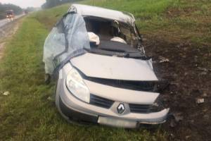 Под Карачевом водитель Renault влетел в фуру и сломал кости таза