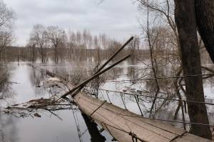 Подвесные мосты в Сельцо и Хотылёво затопило водой