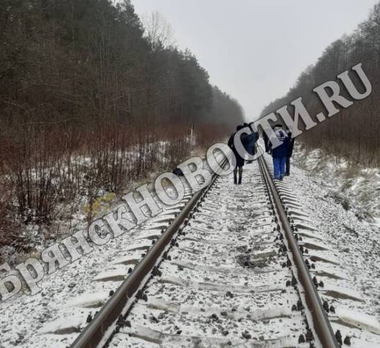 В Новозыбковском районе поезд сбил молодого мужчину