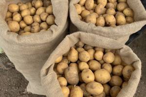 Богомаз назвал цену на картофель завышенной