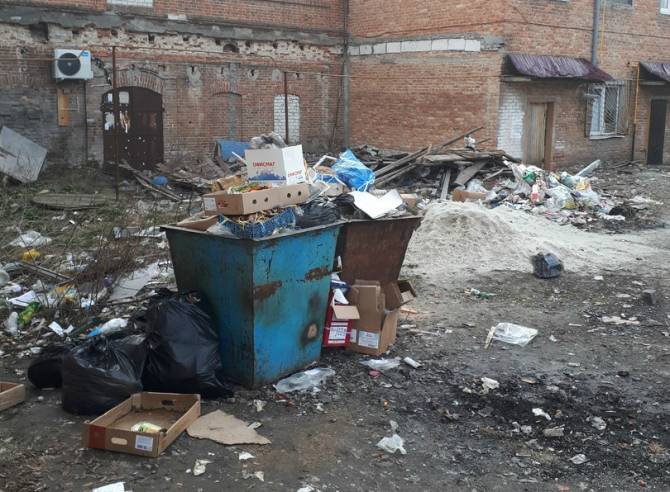 Жителей Трубчевска возмутил свинарник в центре города