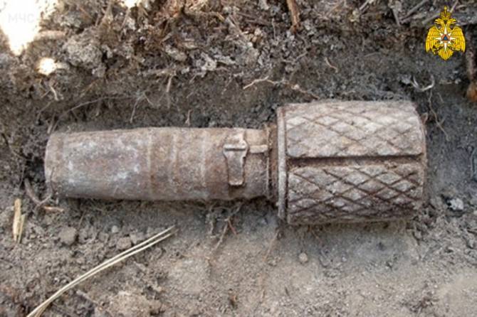 В лесу возле поселка Жучок Брасовского района нашли гранату