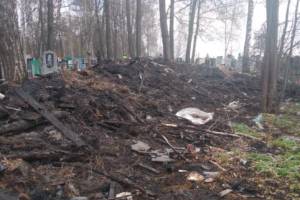 В Клинцах чиновников обвинили в сожжении мусора на кладбище