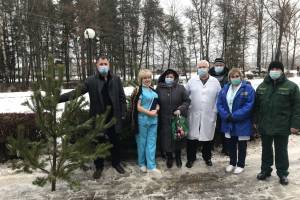 Дубровская и Рогнединская больницы получили новогодние елочки