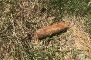 В Брасовском лесу нашли артиллерийский снаряд
