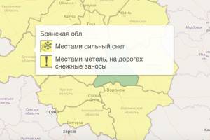 В Брянской области из-за метели объявили жёлтый уровень опасности