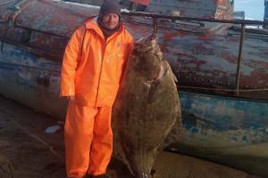 Брянский рыбак поймал в Баренцевом море палтуса в человеческий рост