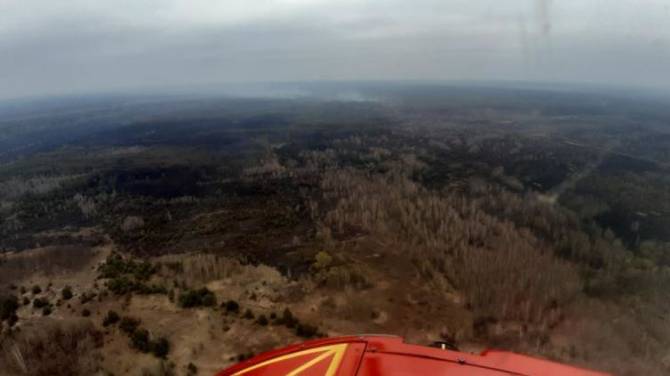 Чернобыльский лес горит в 150 километрах от Брянщины