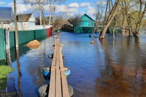 В Брянской области затопило ещё 6 жилых домов и 40 приусадебных участков