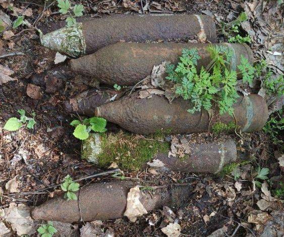 В лесу между Навлинским и Брасовским районами нашли 9 снарядов