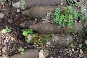 В лесу между Навлинским и Брасовским районами нашли 9 снарядов