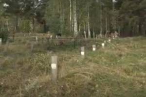 В Брянске планируют огородить жуткое безымянное кладбище