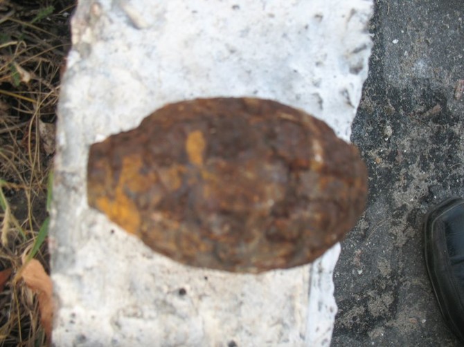 В лесу близ брянского села Меленск нашли гранату Ф-1