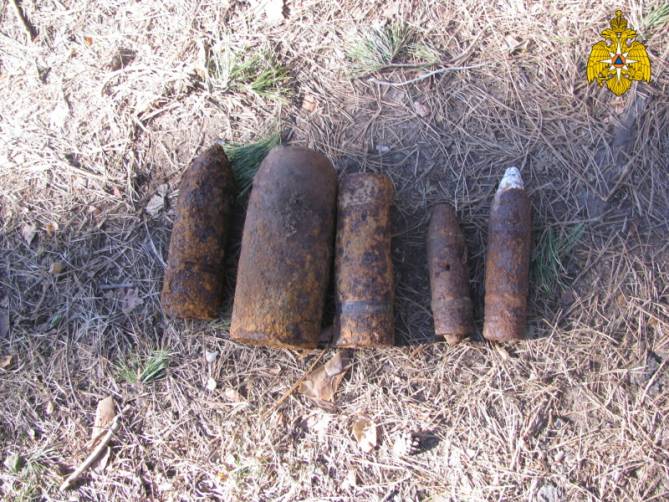 В лесу возле Сельцо нашли авиабомбу и 4 артиллерийских снаряда