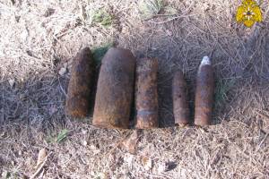 В лесу возле Сельцо нашли авиабомбу и 4 артиллерийских снаряда