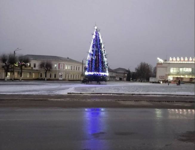 В Климово на центральной площади установили новогоднюю ёлку