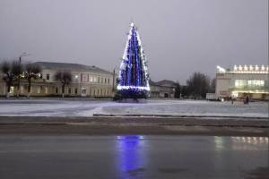 В Климово на центральной площади установили новогоднюю ёлку