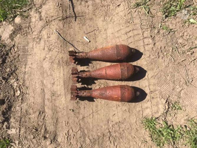 В лесу в Почепском районе нашли три минометные мины