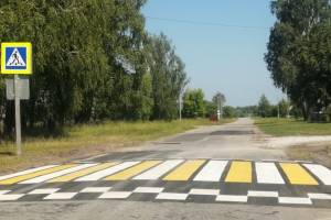 В Гордеевке чиновников заставили обезопасить дорогу у детсада «Ромашка»