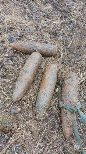 В Брянской области нашли 5 снарядов