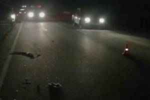 На брянских дорогах за вечер погибли трое пьяных пешеходов
