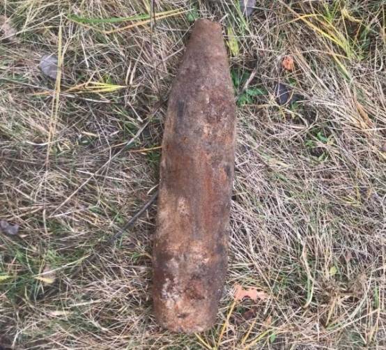 В лесу возле города Сельцо нашли артиллерийский снаряд