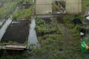 В Клинцах канализация затопила центр города