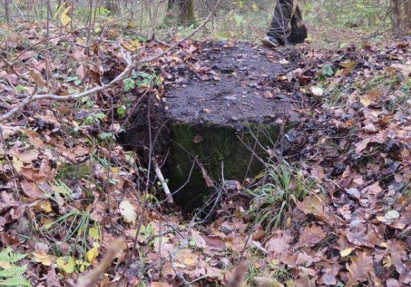 Поисковики нашли в брянских лесах сохранившийся с войны ДОТ