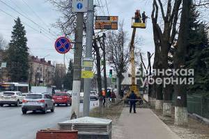 В Брянске на улице Красноармейской начали кронировать деревья