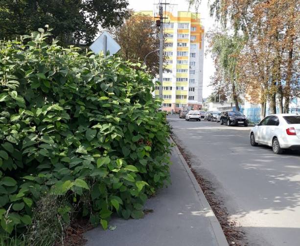 В Брянске стал непроходимым тротуар по 2-му Советскому переулку
